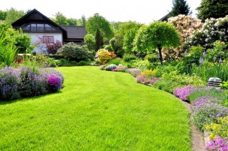Jak zaaranżować domowy ogród?